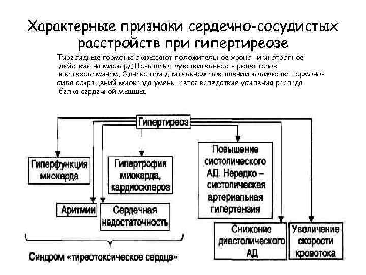 Характерные признаки сердечно-сосудистых расстройств при гипертиреозе Тиреоидные гормоны оказывают положительное хроно- и инотропное действие