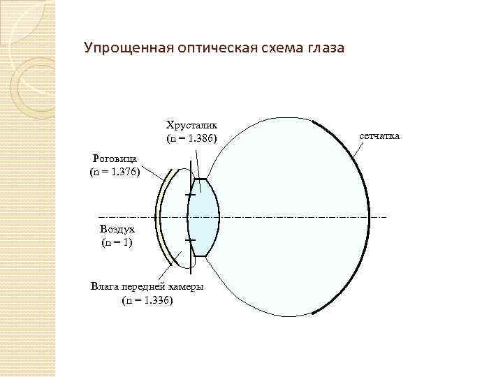 Упрощенная оптическая схема глаза Хрусталик (n = 1. 386) сетчатка Роговица (n = 1.