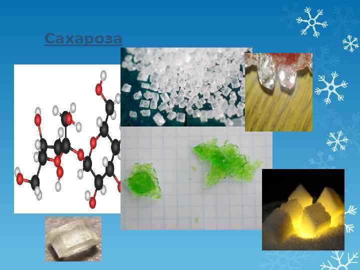 Сахароза 