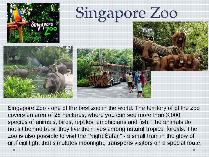 Singapore Zoo - one of the best zoo in the world. The territory of