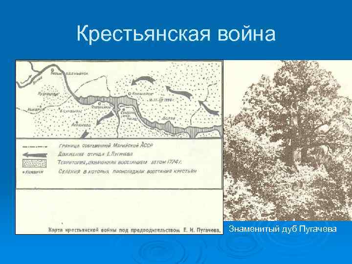 Крестьянская война Знаменитый дуб Пугачева 