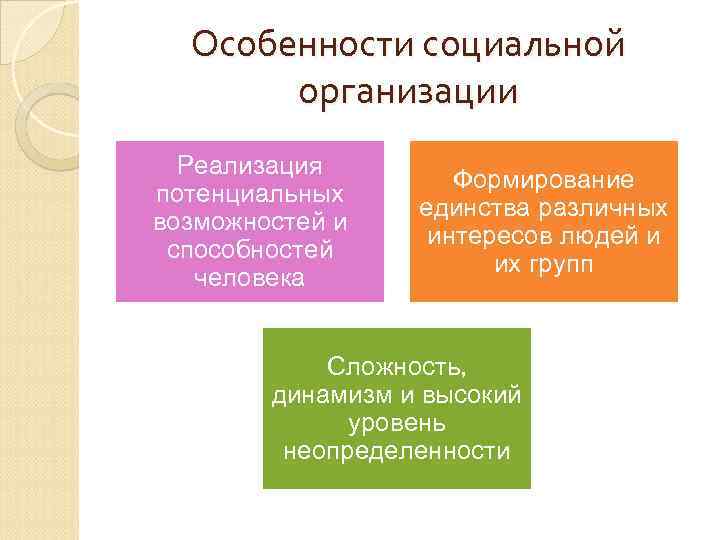 Особенности социальной организации Реализация потенциальных возможностей и способностей человека Формирование единства различных интересов людей