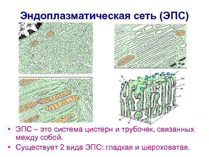 Ооо эпс проект