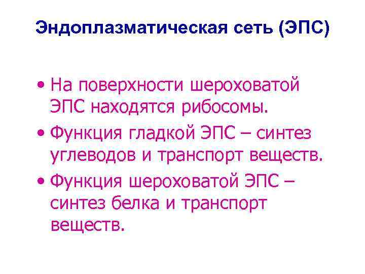 Эндоплазматическая сеть (ЭПС) • На поверхности шероховатой ЭПС находятся рибосомы. • Функция гладкой ЭПС