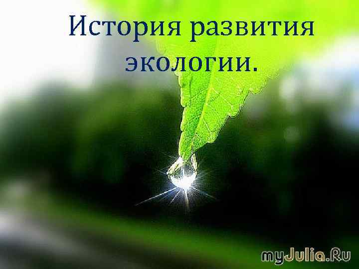 История развития экологии. 