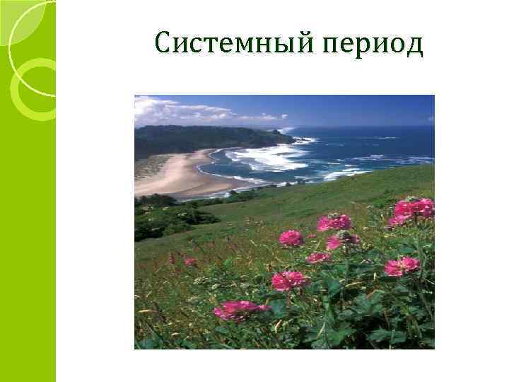 Системный период 