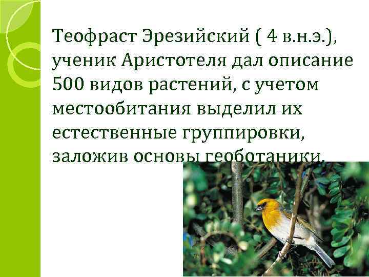 Теофраст Эрезийский ( 4 в. н. э. ), ученик Аристотеля дал описание 500 видов