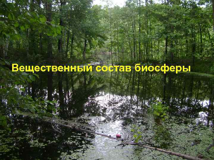 Вещественный состав биосферы 