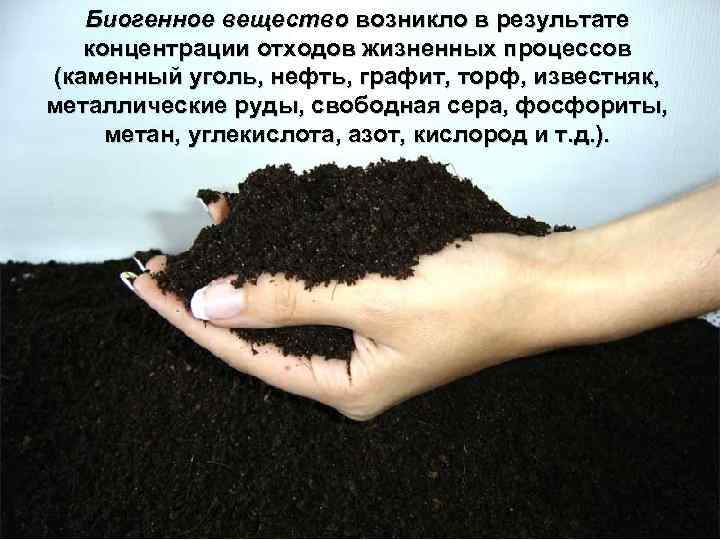 Биогенное вещество возникло в результате концентрации отходов жизненных процессов (каменный уголь, нефть, графит, торф,