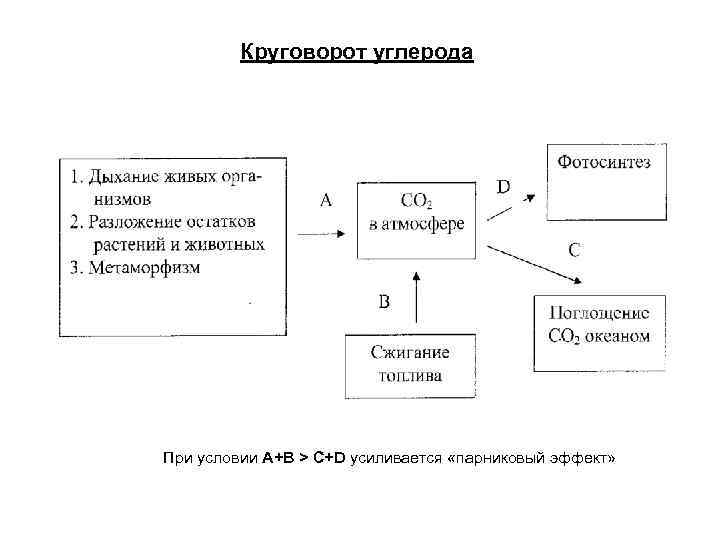Круговорот углерода При условии А+В > С+D усиливается «парниковый эффект» 