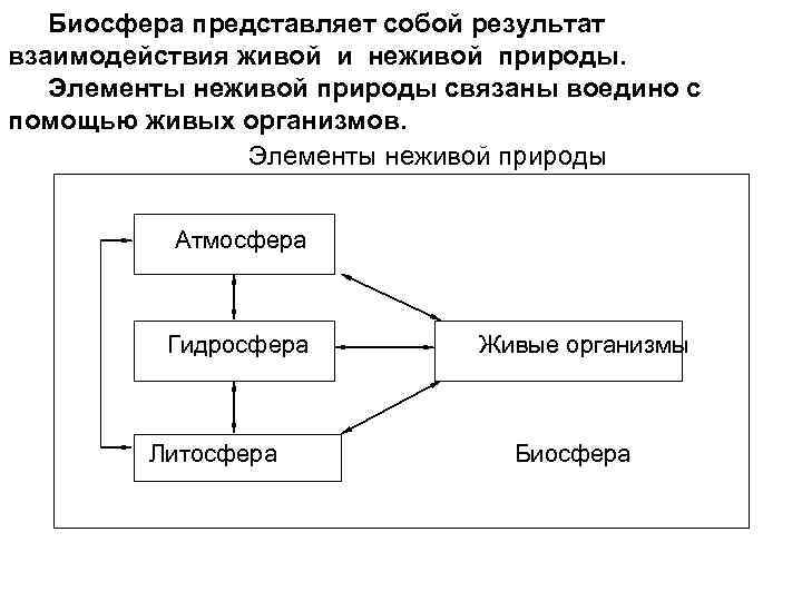 Процессы биосферы. Взаимодействие живого и неживого в биосфере. Взаимодействие живых организмов в биосфере. Закономерности взаимодействия живого и неживого. Взаимодействие живого вещества и неживой природы.