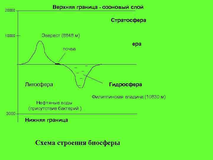 20000 Верхняя граница - озоновый слой Стратосфера 10000 Эверест (8848 м) ера почва Литосфера