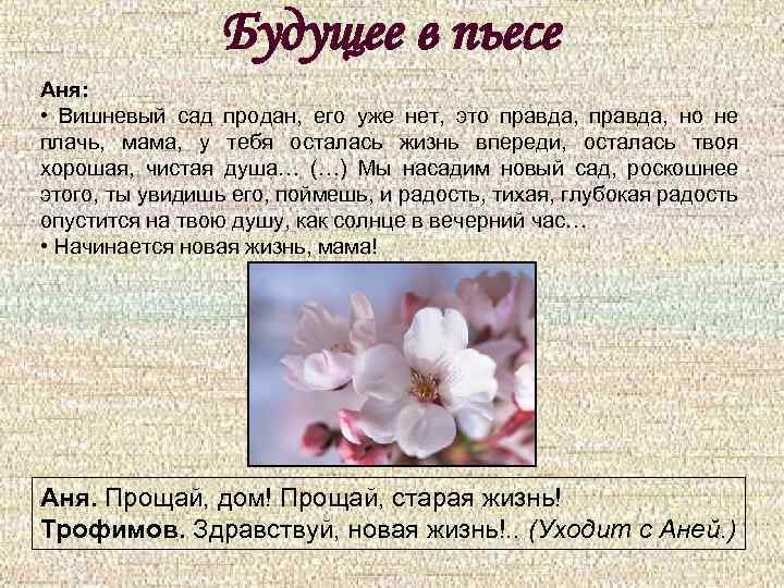 Будущее в пьесе Аня: • Вишневый сад продан, его уже нет, это правда, но