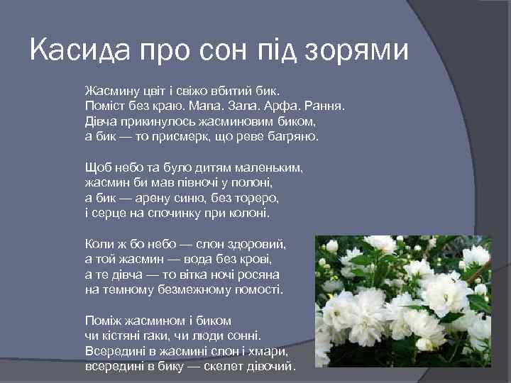 Касида про сон під зорями Жасмину цвіт і свіжо вбитий бик. Поміст без краю.