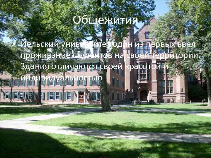 Общежития • Йельский университет один из первых ввел проживание студентов на своей территории. Здания