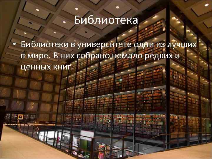 Библиотека • Библиотеки в университете одни из лучших в мире. В них собрано немало