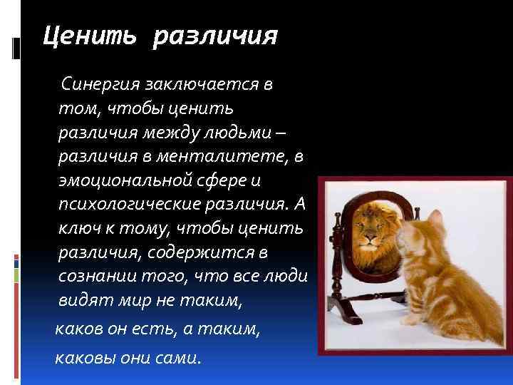 Ценить различия Синергия заключается в том, чтобы ценить различия между людьми – различия в