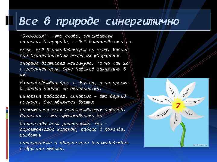 Все в природе синергитично "Экология" – это слово, описывающее синергию в природе, – всё