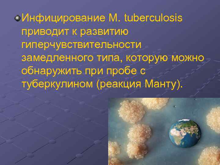 Инфицирование М. tuberculosis приводит к развитию гиперчувствительности замедленного типа, которую можно обнаружить при пробе