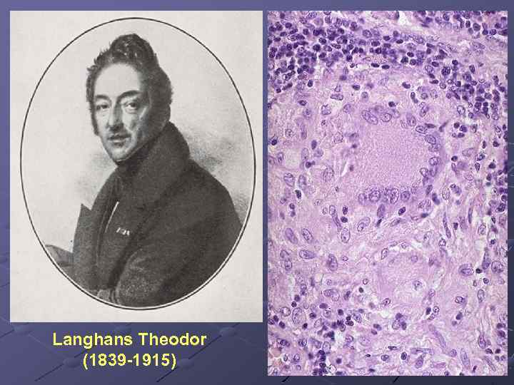 Langhans Theodor (1839 -1915) 