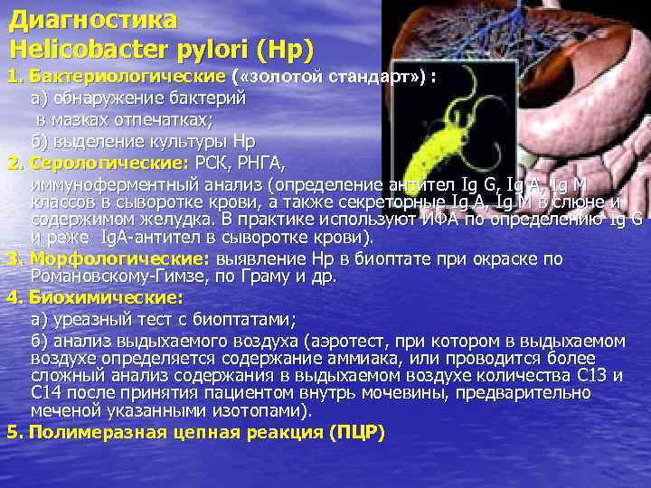 Диагностика Helicobacter pylori (Нр) 1. Бактериологические ( «золотой стандарт» ) : а) обнаружение бактерий