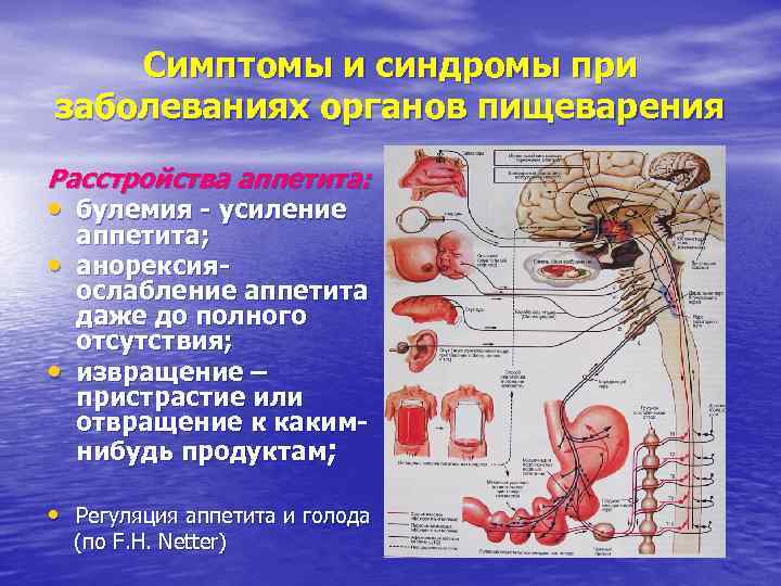 Симптомы и синдромы при заболеваниях органов пищеварения Расстройства аппетита: • булемия - усиление •