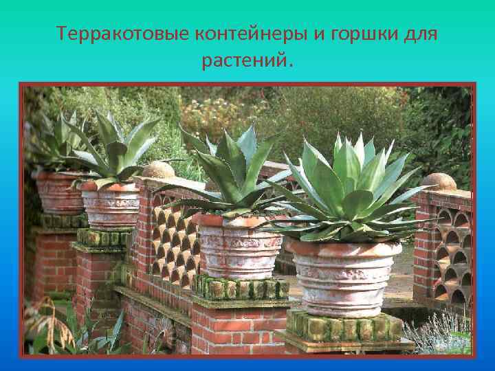 Терракотовые контейнеры и горшки для растений. 