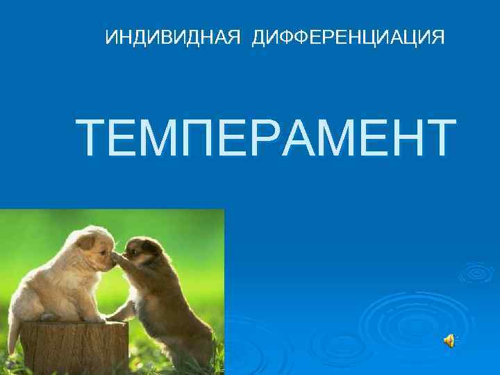 ИНДИВИДНАЯ ДИФФЕРЕНЦИАЦИЯ ТЕМПЕРАМЕНТ 