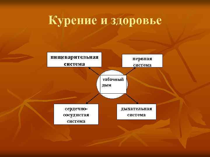 Курение и здоровье пищеварительная система нервная система табачный дым сердечнососудистая система дыхательная система 