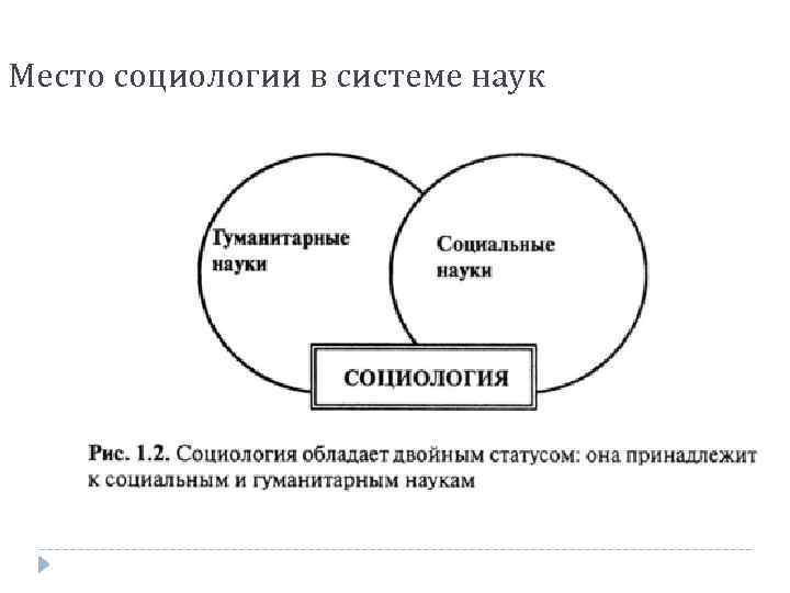 Место социологии в системе наук 