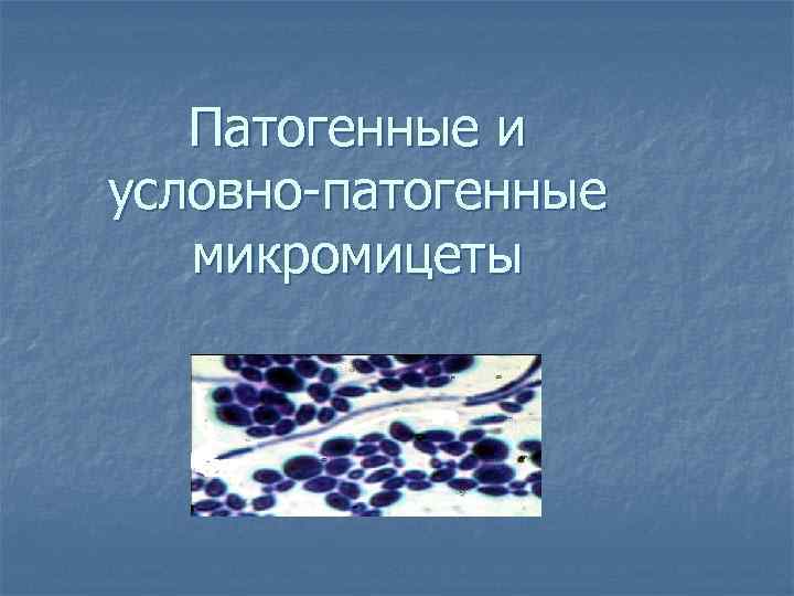 Патогенные и условно-патогенные микромицеты 