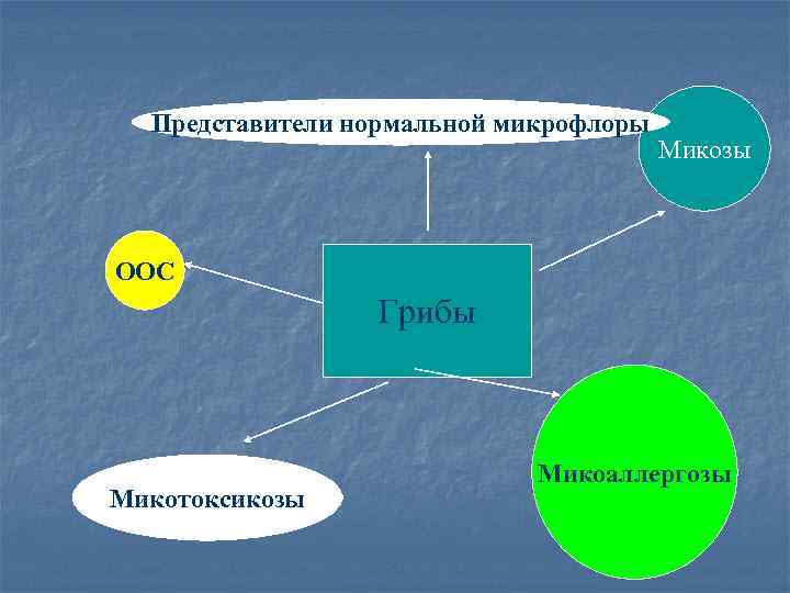 Представители нормальной микрофлоры Микозы ООС Грибы Микотоксикозы Микоаллергозы 