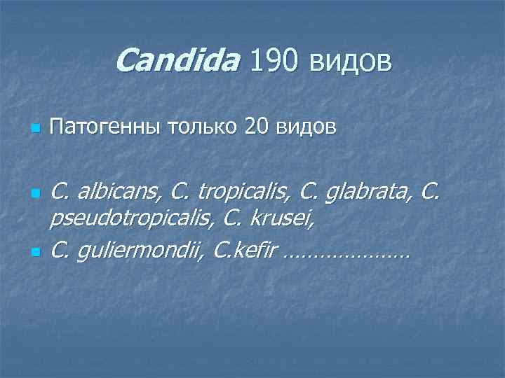 Candida 190 видов n n n Патогенны только 20 видов C. albicans, C. tropicalis,