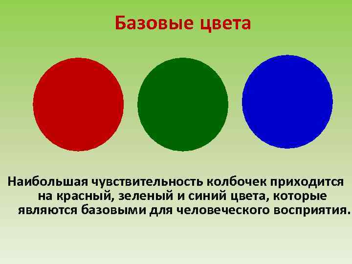 Базовые цвета Наибольшая чувствительность колбочек приходится на красный, зеленый и синий цвета, которые являются