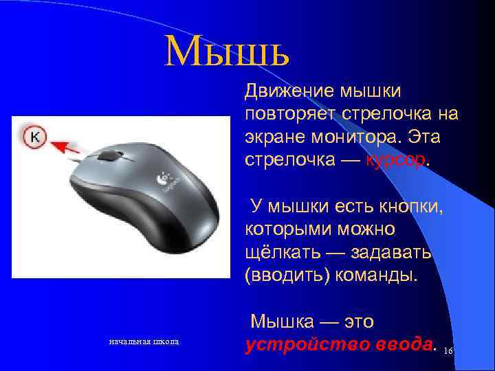 Мышь Движение мышки повторяет стрелочка на экране монитора. Эта стрелочка — курсор. У мышки