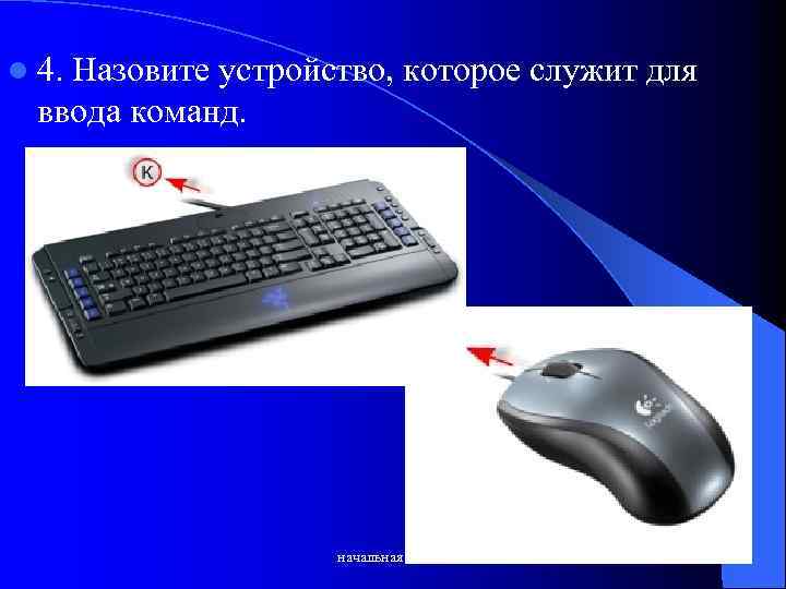 l 4. Назовите устройство, которое служит для ввода команд. начальная школа 22 