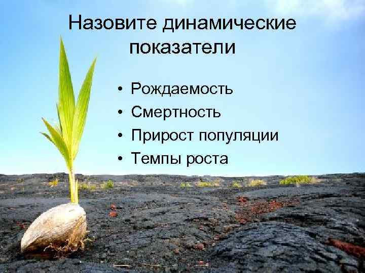 Назовите динамические показатели • • Рождаемость Смертность Прирост популяции Темпы роста 