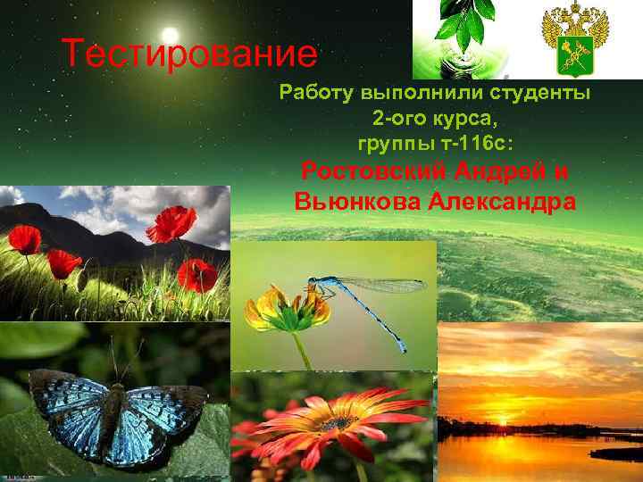 Тестирование Работу выполнили студенты 2 -ого курса, группы т-116 с: Ростовский Андрей и Вьюнкова