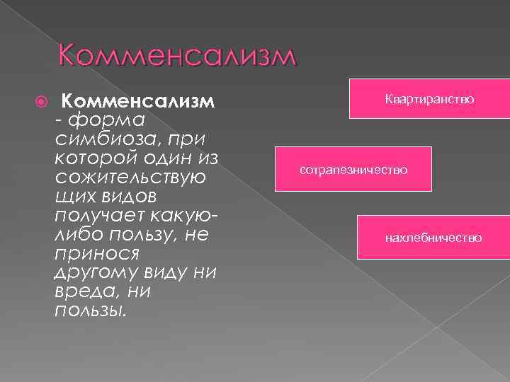 Комменсализм - форма симбиоза, при которой один из сожительствую щих видов получает какуюлибо пользу,