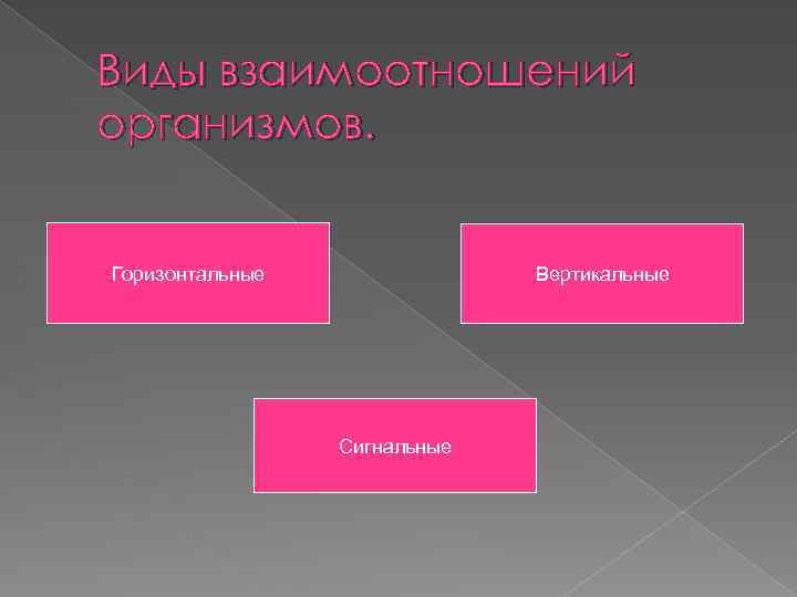 Виды взаимоотношений организмов. Горизонтальные Вертикальные Сигнальные 