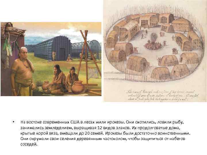  • На востоке современных США в лесах жили ирокезы. Они охотились, ловили рыбу,