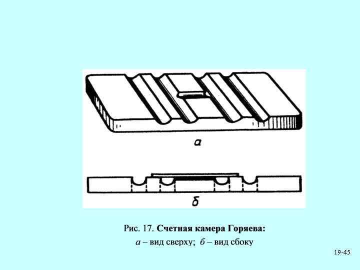 Код бога лекция горяева. Строение камеры Горяева. Камера Горяева счетная камера. Подсчет клеток в камере Горяева формула. Сетка Счетной камеры Горяева.