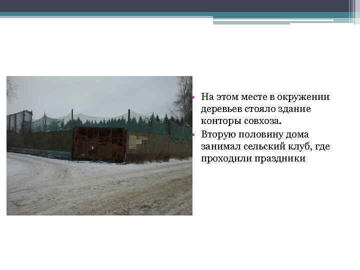  • На этом месте в окружении деревьев стояло здание конторы совхоза. • Вторую