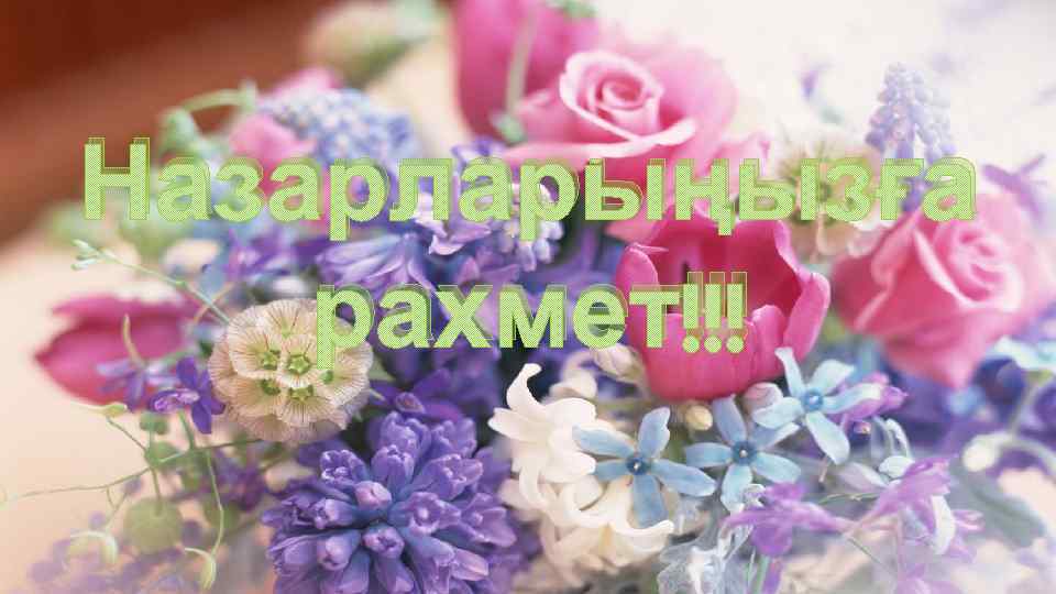 Назарларыңызға рахмет!!! 