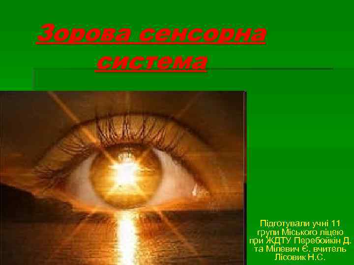 Зорова сенсорна система Підготували учні 11 групи Міського ліцею при ЖДТУ Перебойкін Д. та