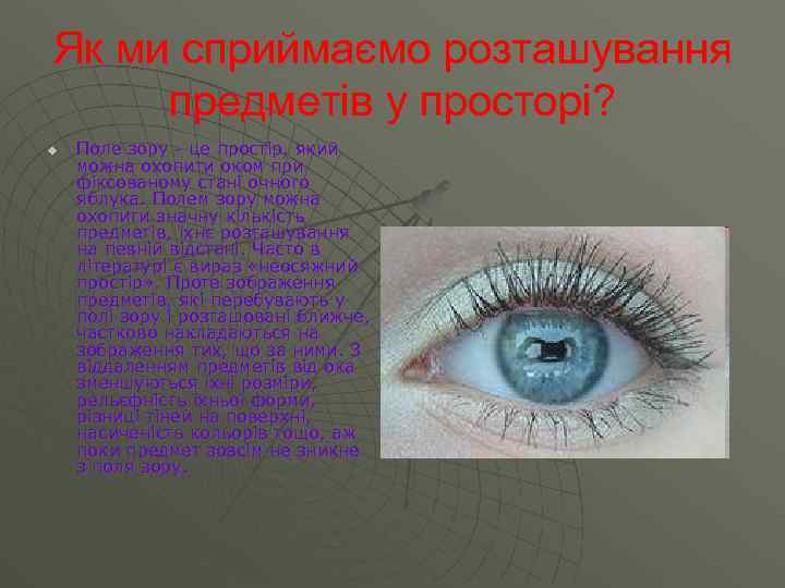 Як ми сприймаємо розташування предметів у просторі? u Поле зору - це простір, який