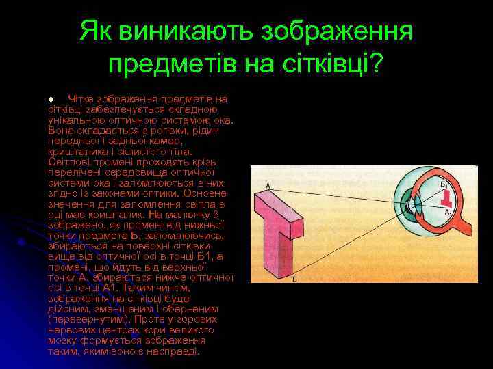 Як виникають зображення предметів на сітківці? Чітке зображення предметів на сітківці забезпечується складною унікальною