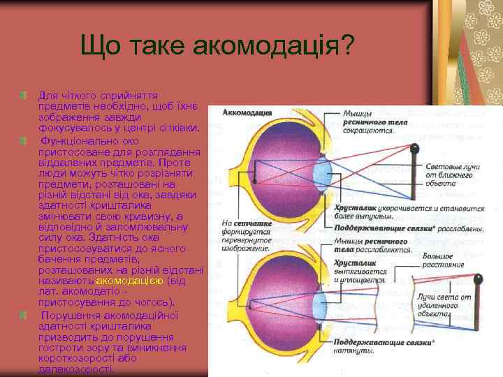 Що таке акомодація? Для чіткого сприйняття предметів необхідно, щоб їхнє зображення завжди фокусувалось у