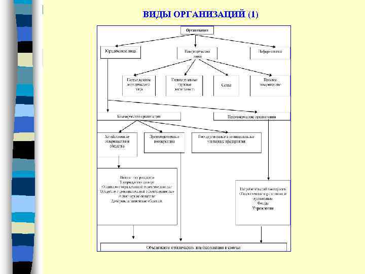 ВИДЫ ОРГАНИЗАЦИЙ (1) 