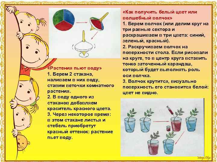  «Растения пьют воду» 1. Берем 2 стакана, наливаем в них воду, ставим веточки